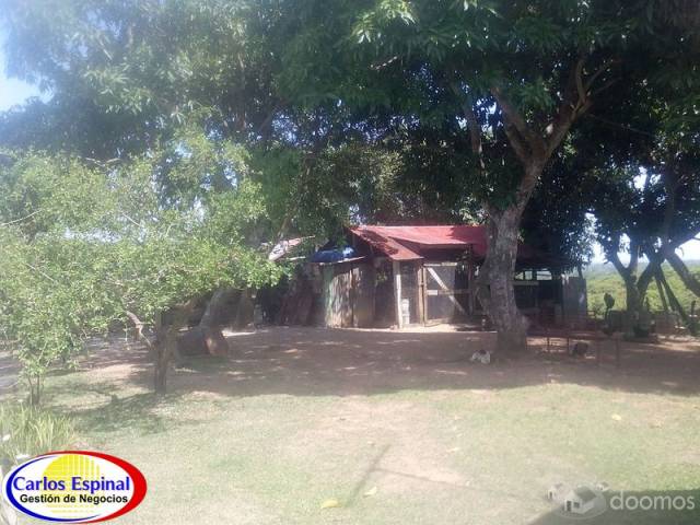 Finca Ganadera de Venta en La Altagracia, Rep. Dominicana - 2