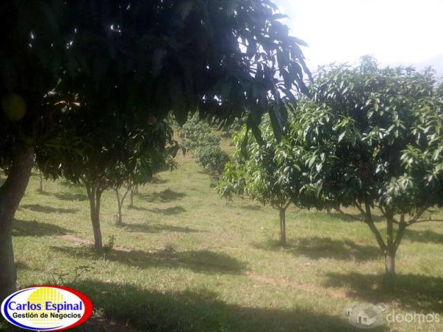 Finca Ganadera de Venta en La Altagracia, Rep. Dominicana - 3