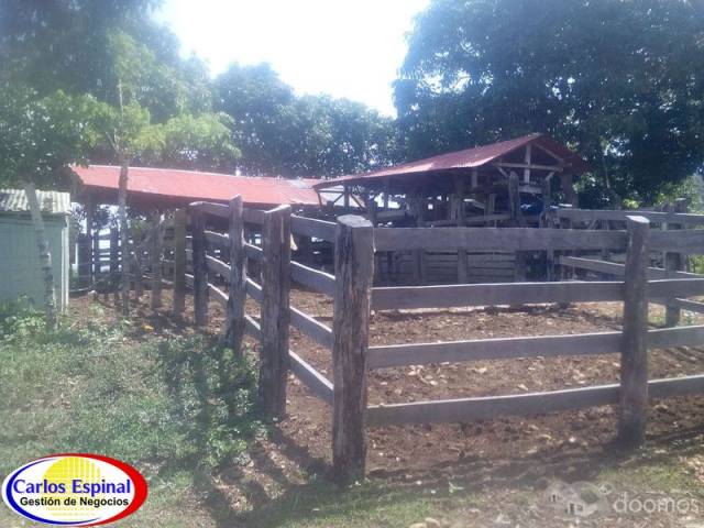 Finca Ganadera de Venta en La Altagracia, Rep. Dominicana - 4