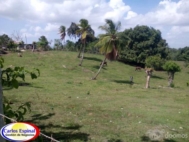 Finca Ganadera de Venta en La Altagracia, Rep. Dominicana - 5