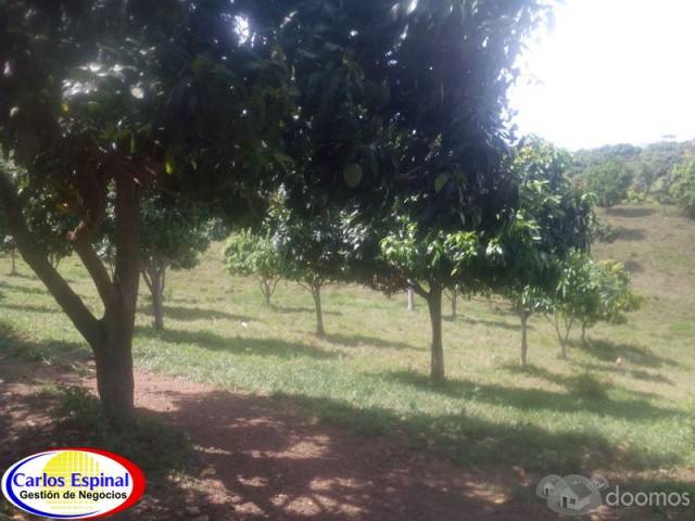 Finca Ganadera de Venta en La Altagracia, Rep. Dominicana - 6
