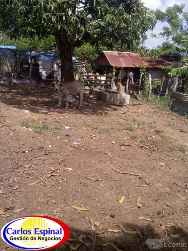 Finca Terreno de Venta en La Altagracia, Rep. Dominicana - 3
