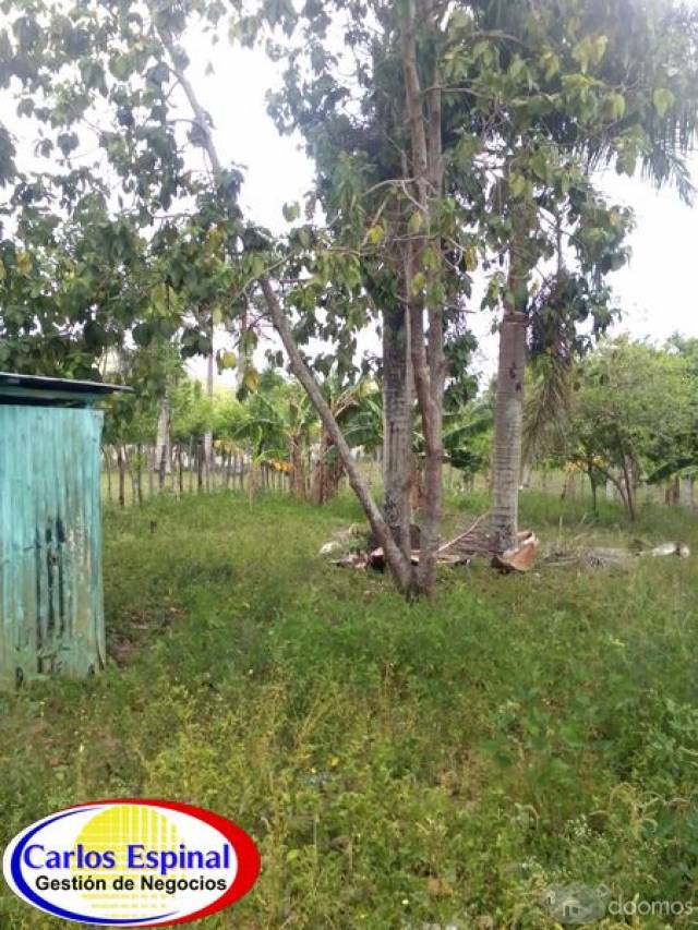 Campito de Venta en Higuey, República Dominicana - 3