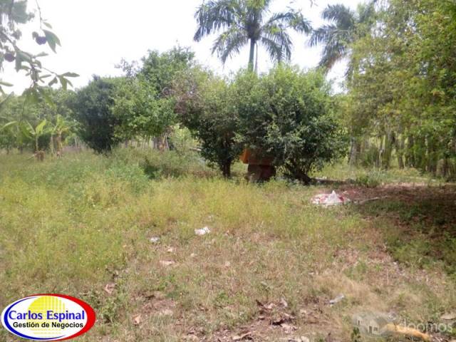 Campito de Venta en Higuey, República Dominicana - 4