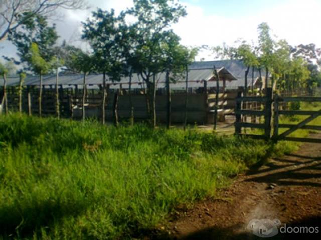 Vendo Finca TODO INCLUIDO a 5 minutos de la Ciudad - 3