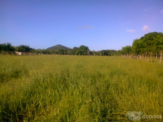 Vendo Finca TODO INCLUIDO a 5 minutos de la Ciudad - 4