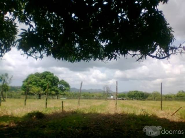 Vendo Finca TODO INCLUIDO a 5 minutos de la Ciudad - 6