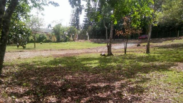 Solares de 400 m2 Jarabacoa - 2