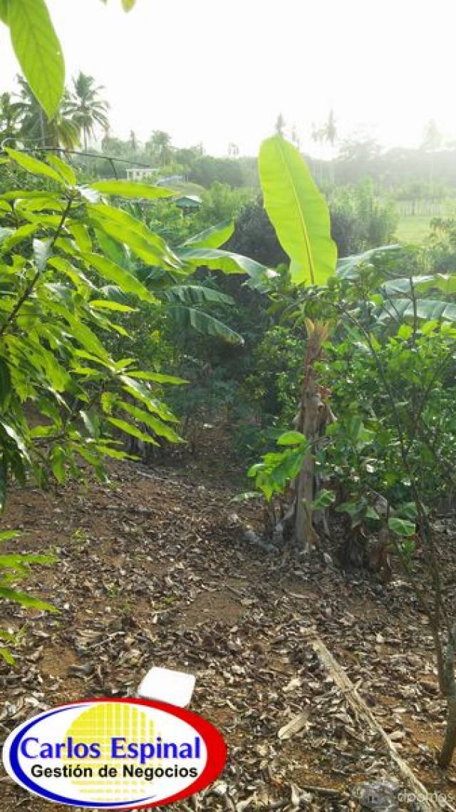 Campito Con Arroyo de Venta en Higuey, República Dominicana - 2