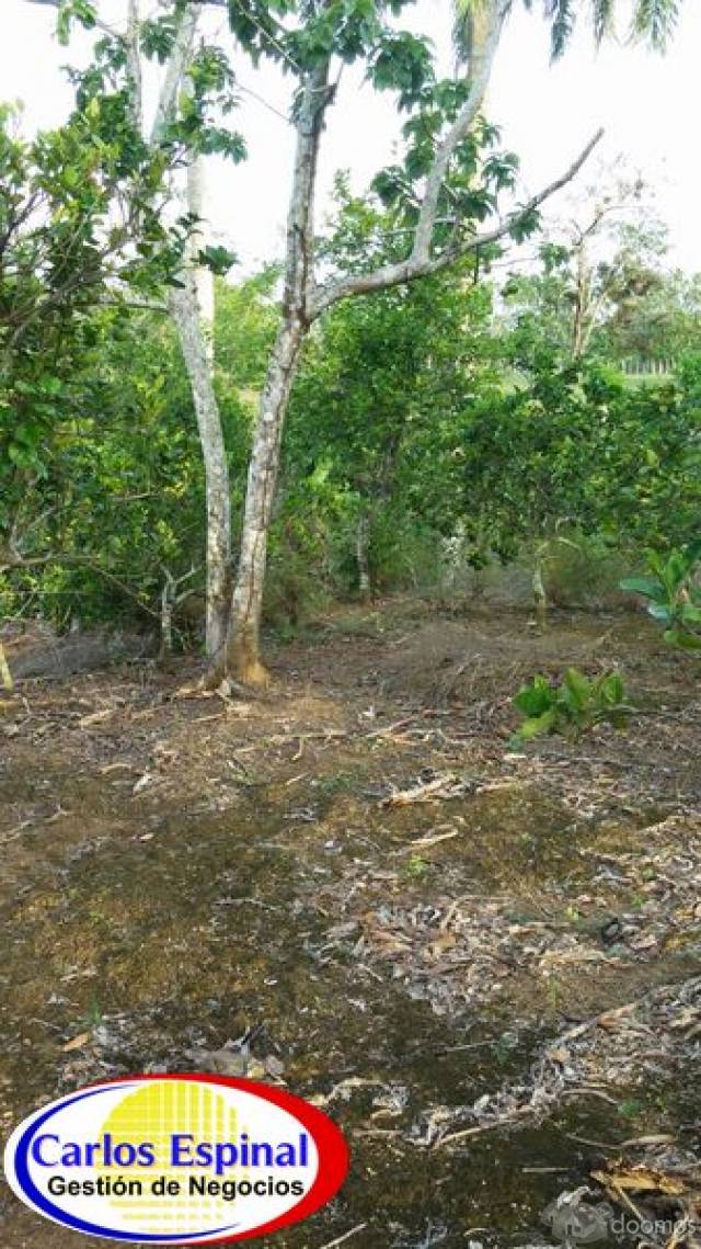Campito Con Arroyo de Venta en Higuey, República Dominicana - 3