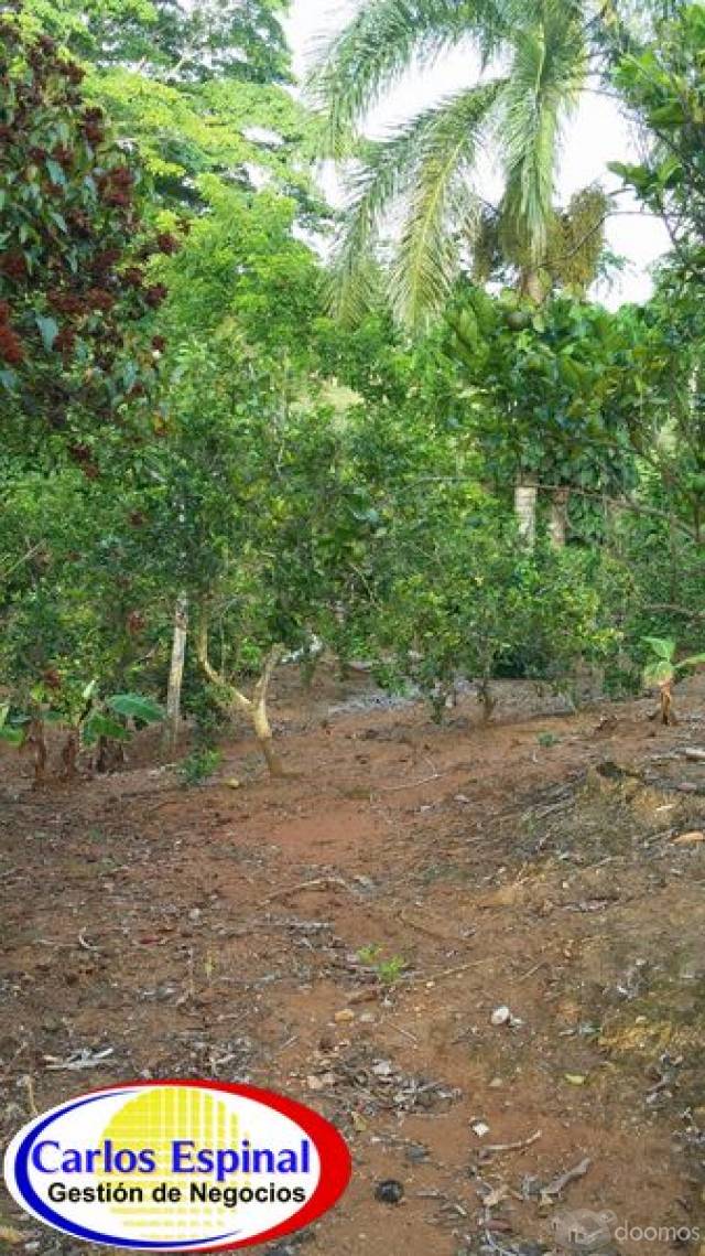 Campito Con Arroyo de Venta en Higuey, República Dominicana - 7