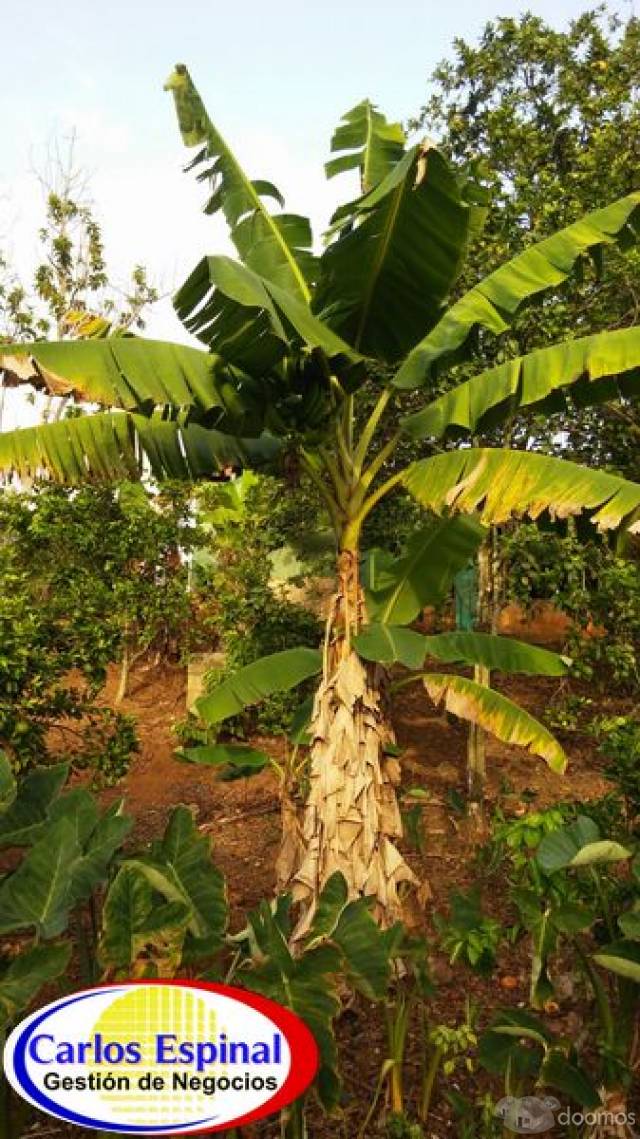 Campito Con Arroyo de Venta en Higuey, República Dominicana - 8