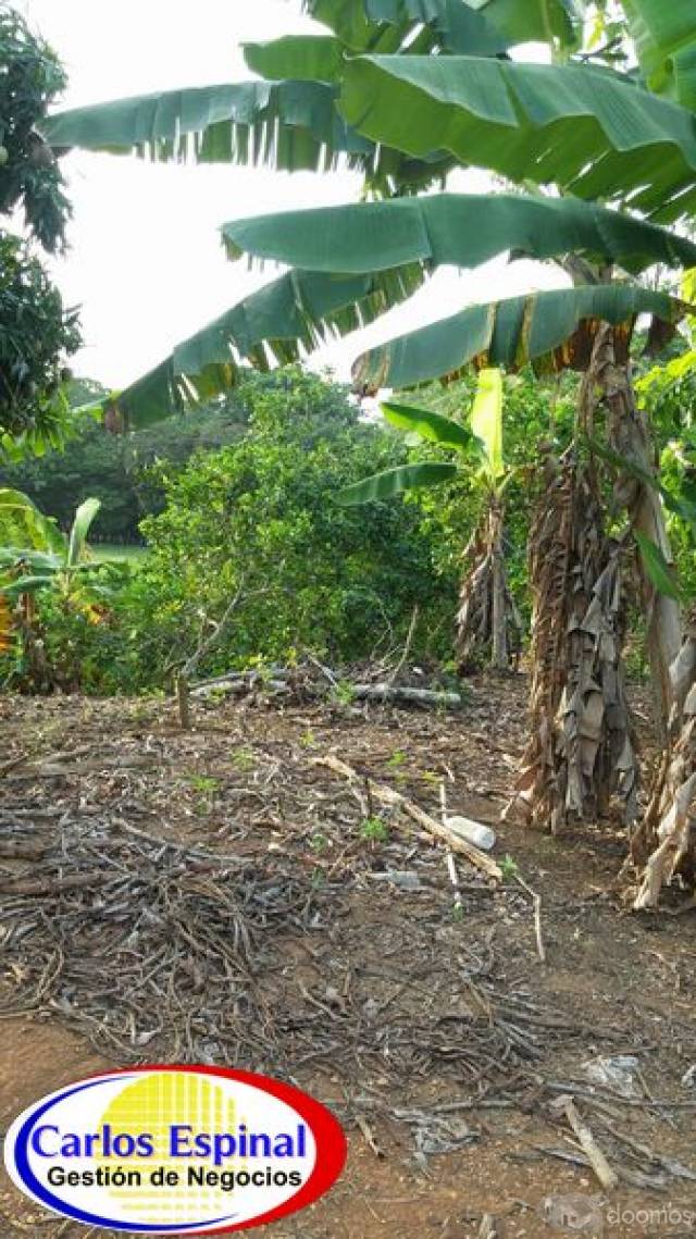 Campito Con Arroyo de Venta en Higuey, República Dominicana - 9
