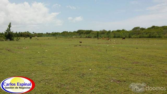 Terreno de Venta en Playa Nueva Romana , Rep. Dominicana - 4