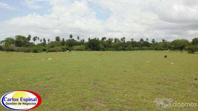 Terreno de Venta en Playa Nueva Romana , Rep. Dominicana - 5