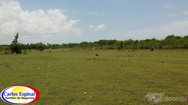 Terreno de Venta en Playa Nueva Romana , Rep. Dominicana - 9