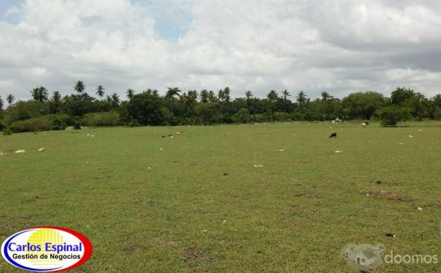 Terreno de Venta en Playa Nueva Romana , Rep. Dominicana - 10