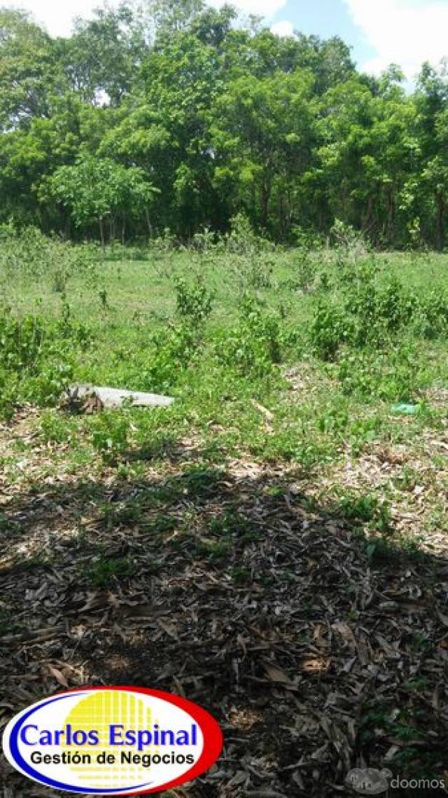 Terreno con Casa de Venta en Higuey, República Dominicana - 3