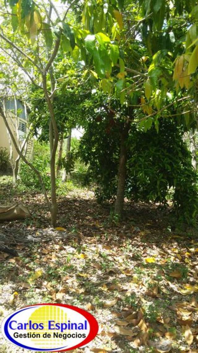 Terreno con Casa de Venta en Higuey, República Dominicana - 4