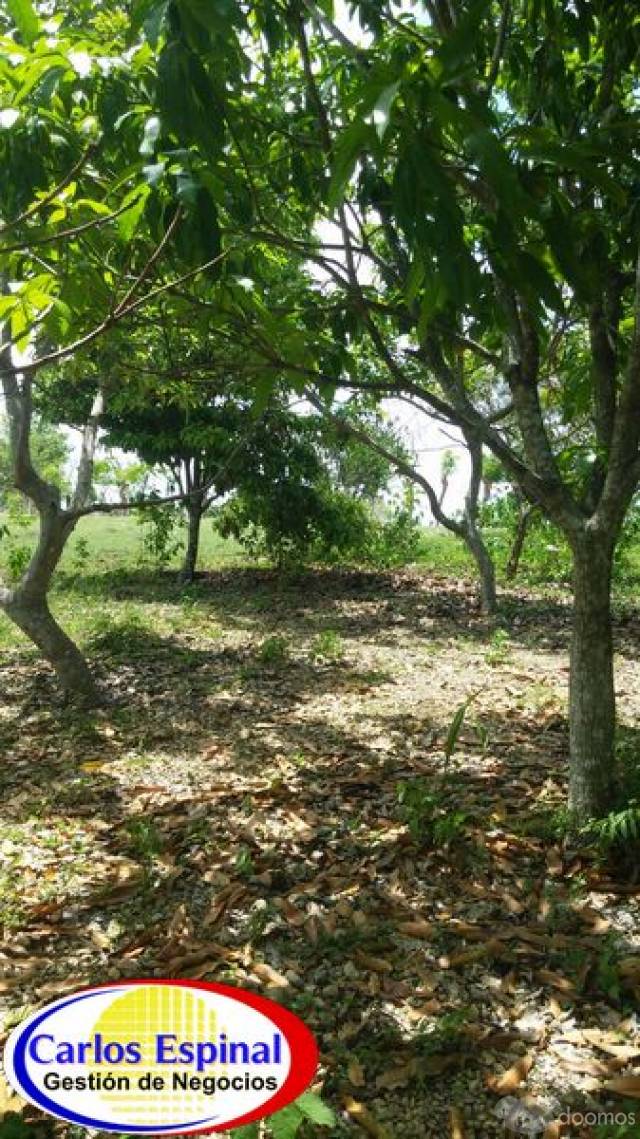Terreno con Casa de Venta en Higuey, República Dominicana - 5