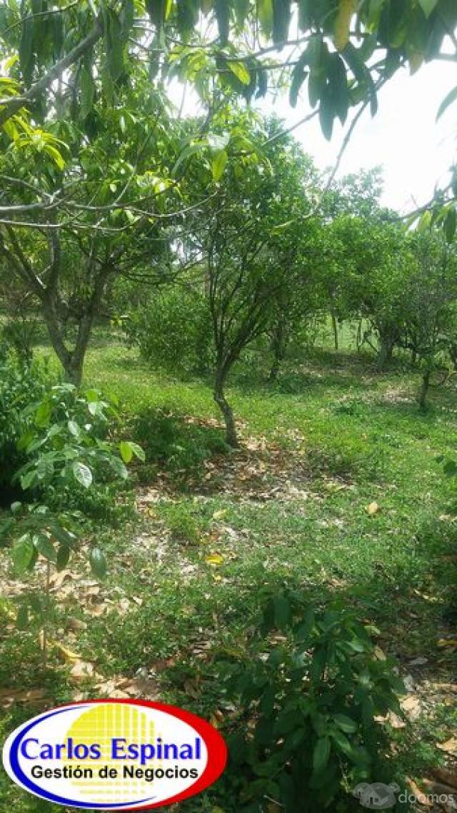 Terreno con Casa de Venta en Higuey, República Dominicana - 6