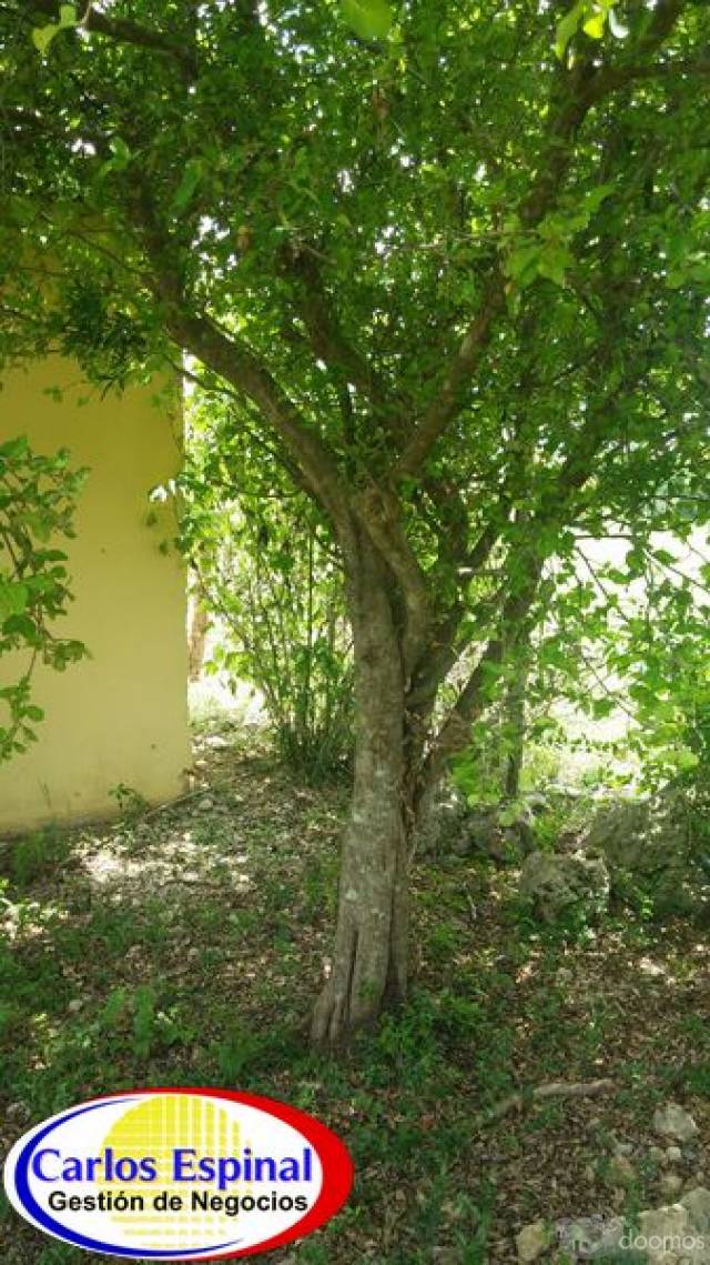 Terreno con Casa de Venta en Higuey, República Dominicana - 7