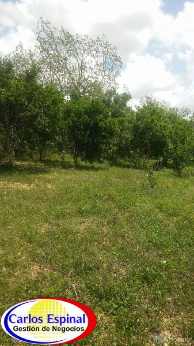 Terreno con Casa de Venta en Higuey, República Dominicana - 8
