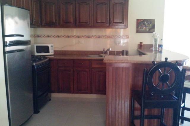 FRONTBEACH APARTMENT! PLAYA BIBIJAGUA - 2
