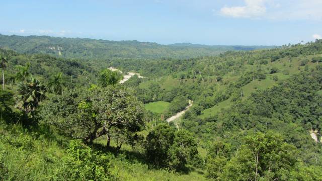Finca en Yásica - Puerto Plata - 6