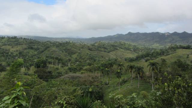Finca en Yásica - Puerto Plata - 8