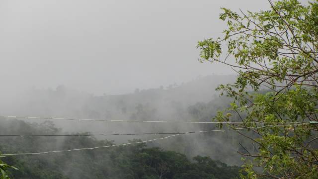 Finca en Yásica - Puerto Plata - 10