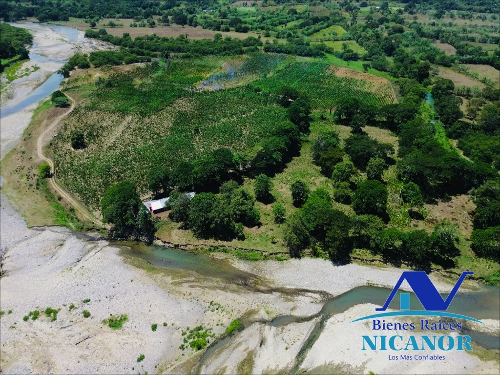 Finca sembrada de platanos en venta - 5