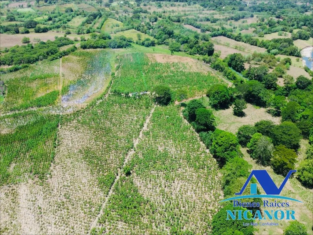 Finca sembrada de platanos en venta - 6