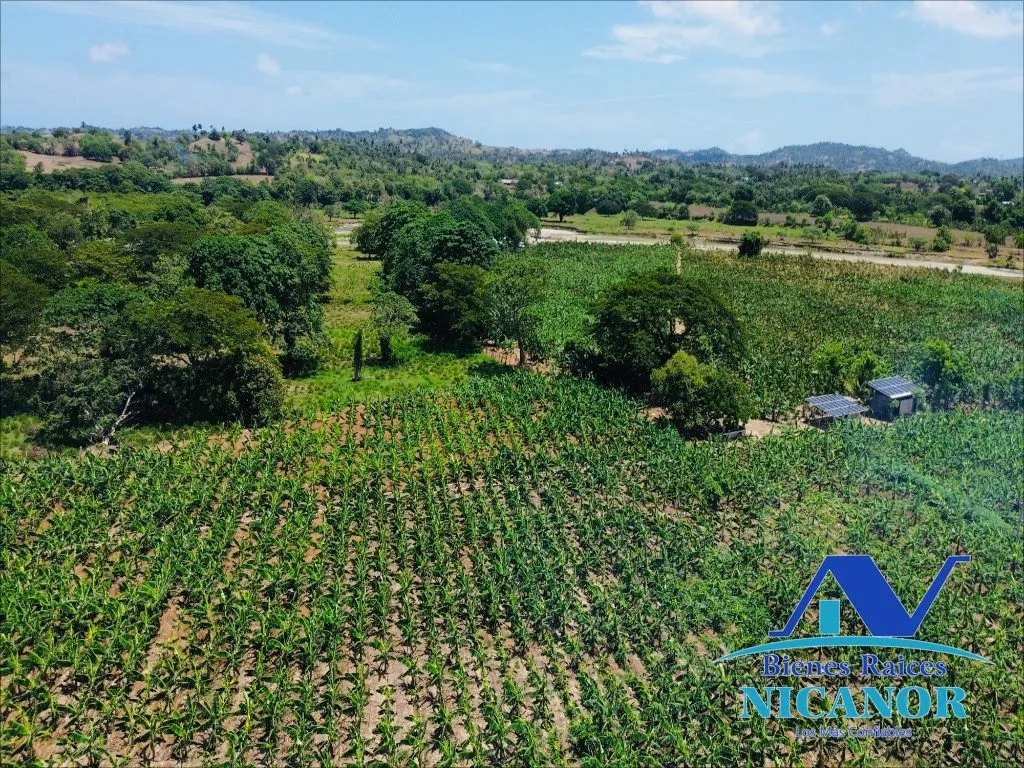 Finca sembrada de platanos en venta - 13