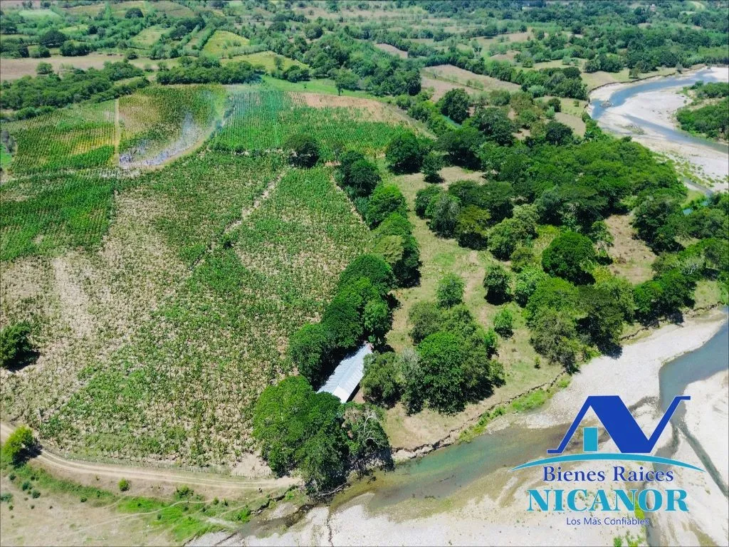 Finca sembrada de platanos en venta - 9