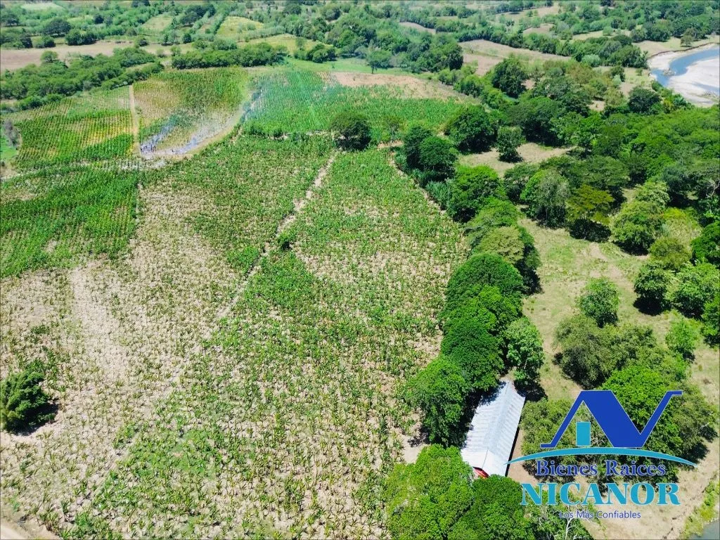 Finca sembrada de platanos en venta - 7
