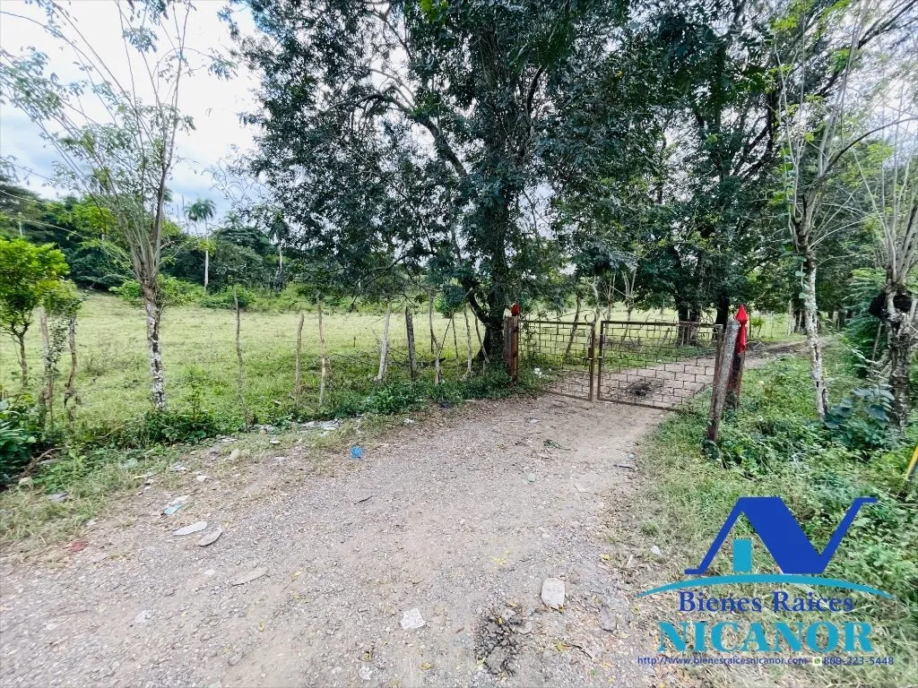 Finca ganadera en venta de 2,300 tareas en adelante - 12