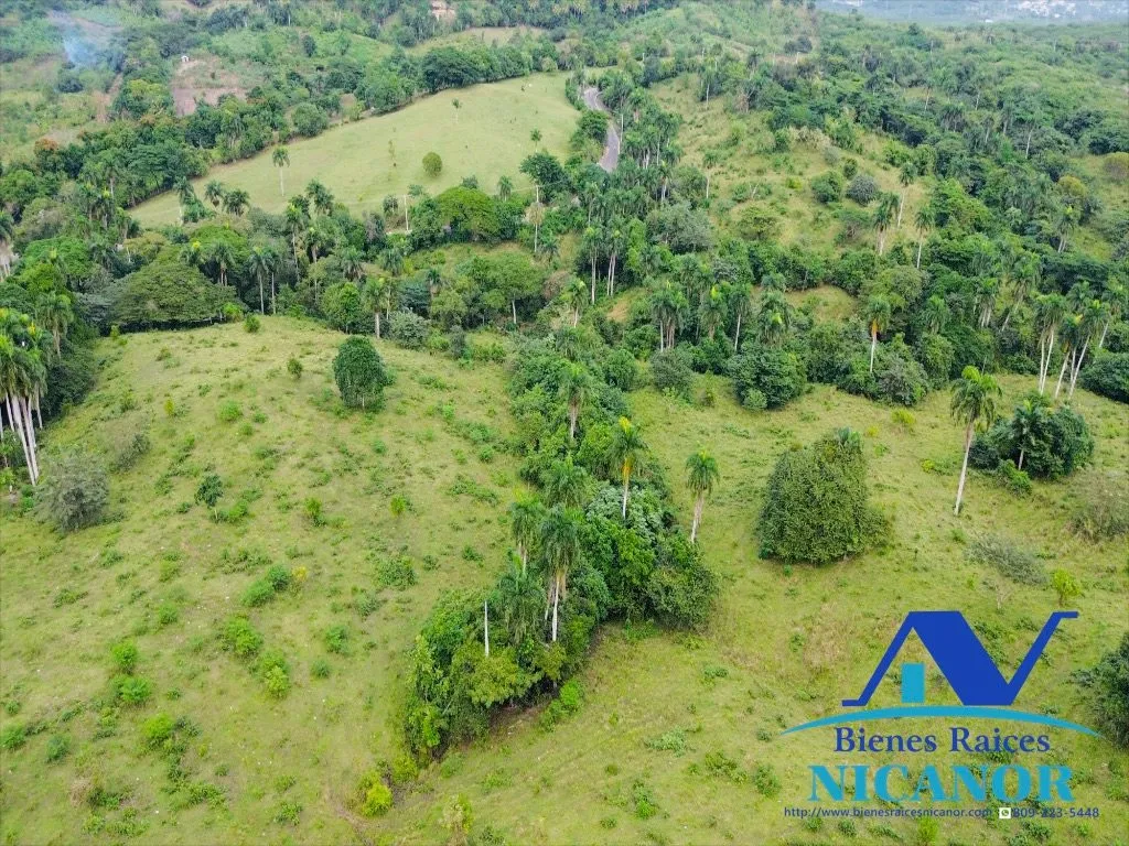 Finca ganadera en venta de 2,300 tareas en adelante - 11