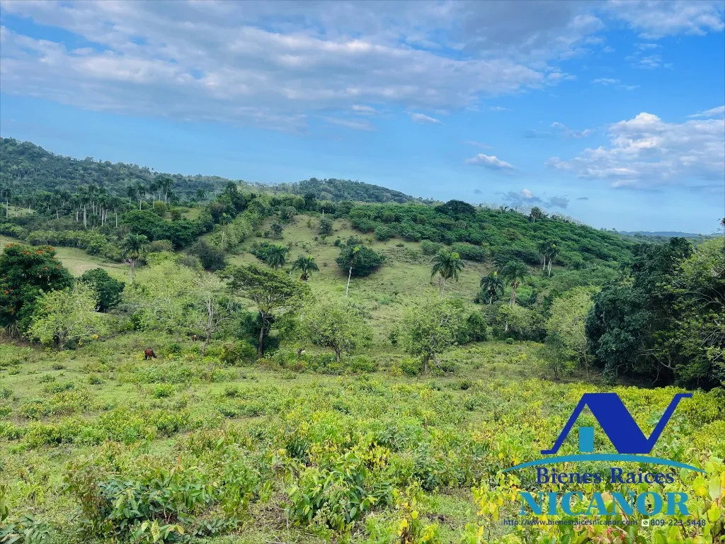 Finca ganadera en venta de 2,300 tareas en adelante - 2