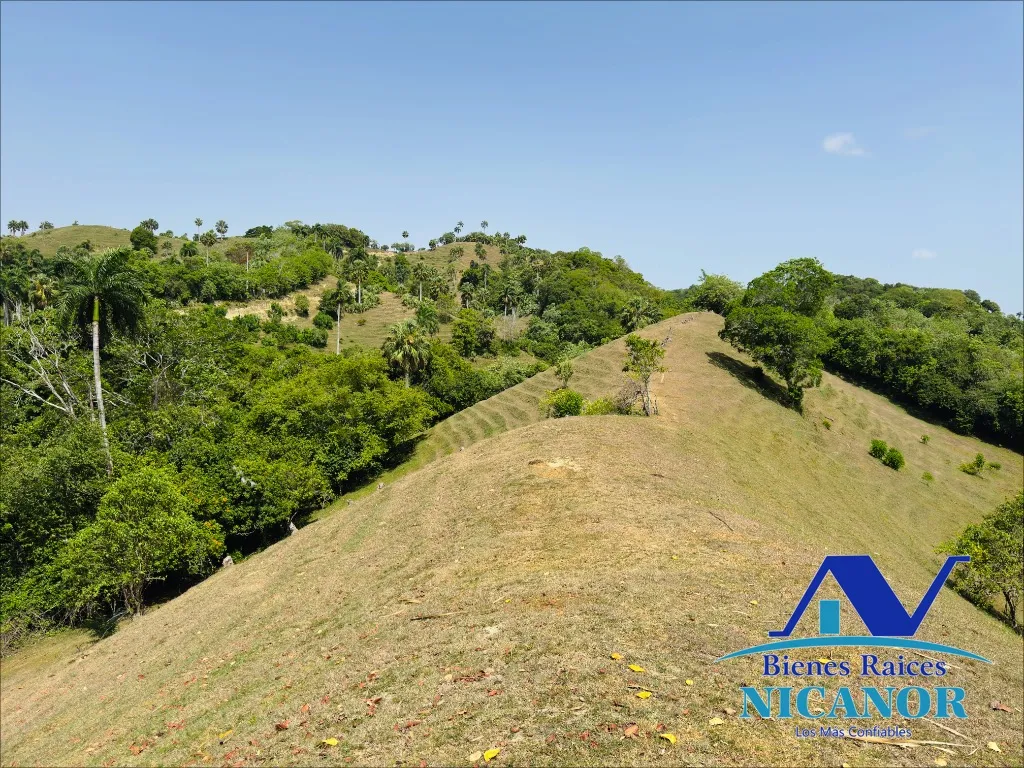 Finca ganadera de 825 tareas en venta - 4