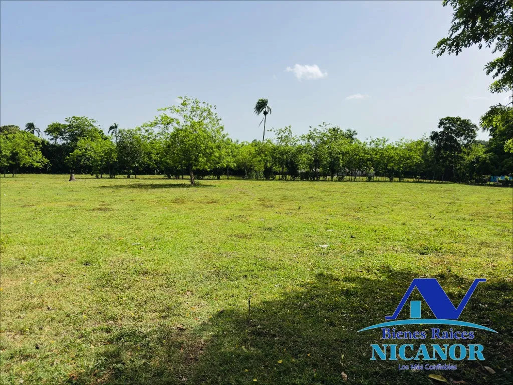 Finca ganadera de 825 tareas en venta - 10