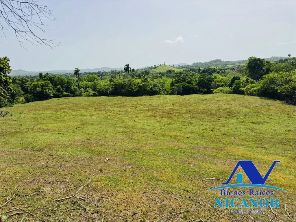 Finca ganadera de 825 tareas en venta - 5