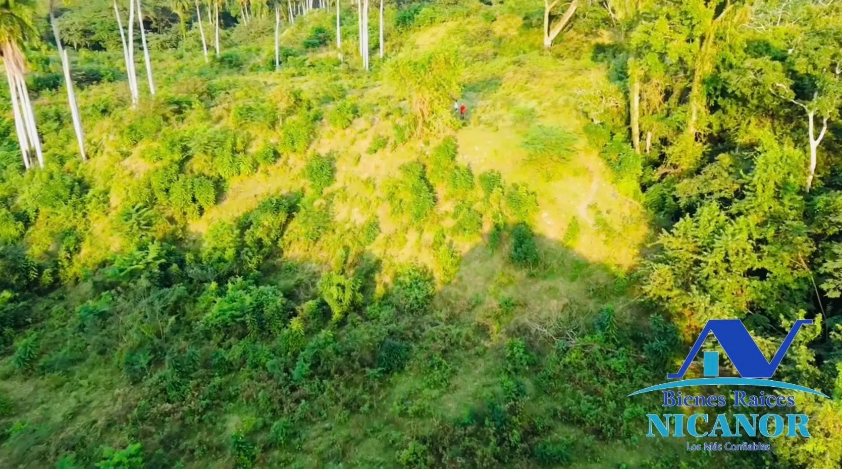 Finca ganadera de 1,150 tareas en venta en Guananico - 2
