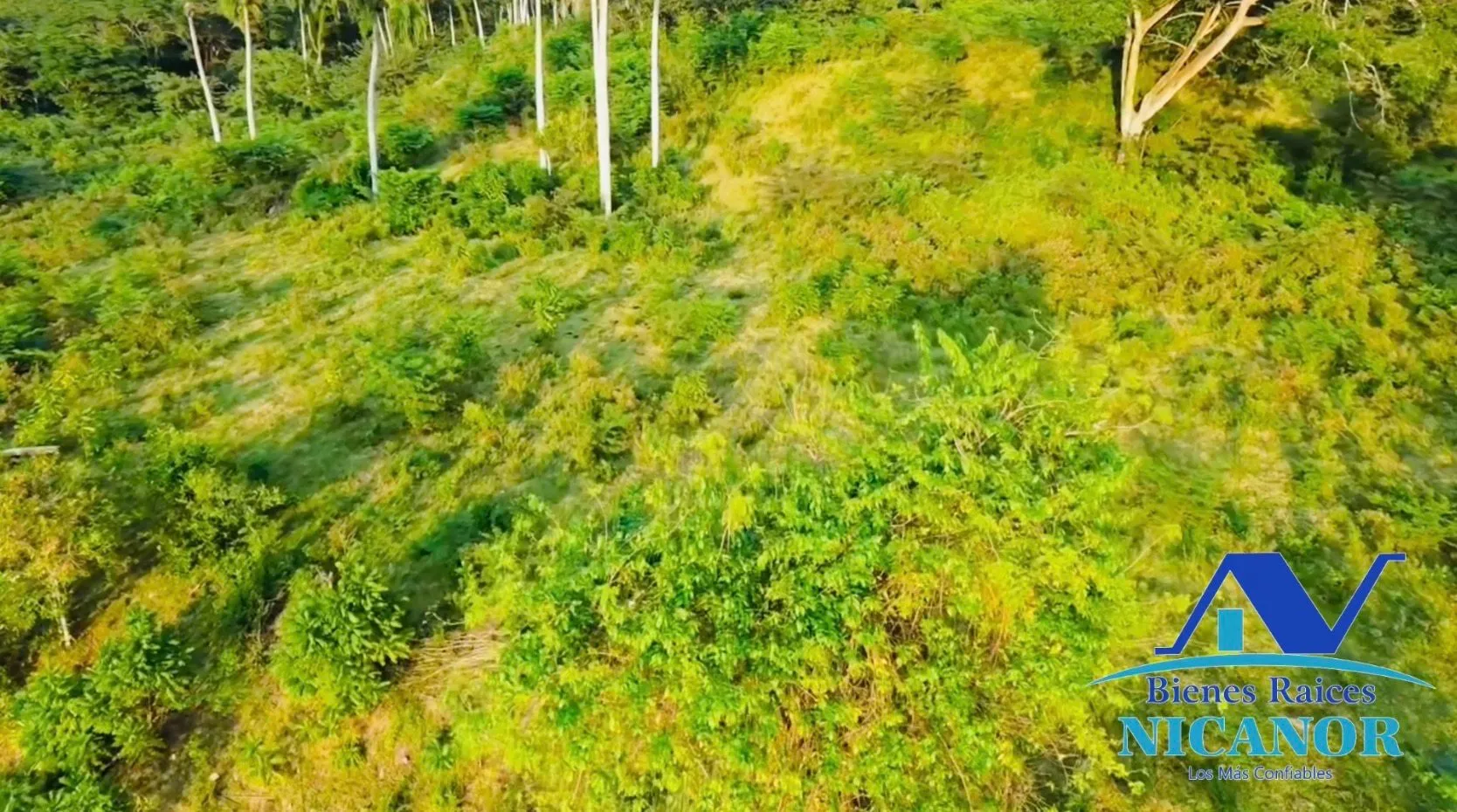 Finca ganadera de 1,150 tareas en venta en Guananico - 6