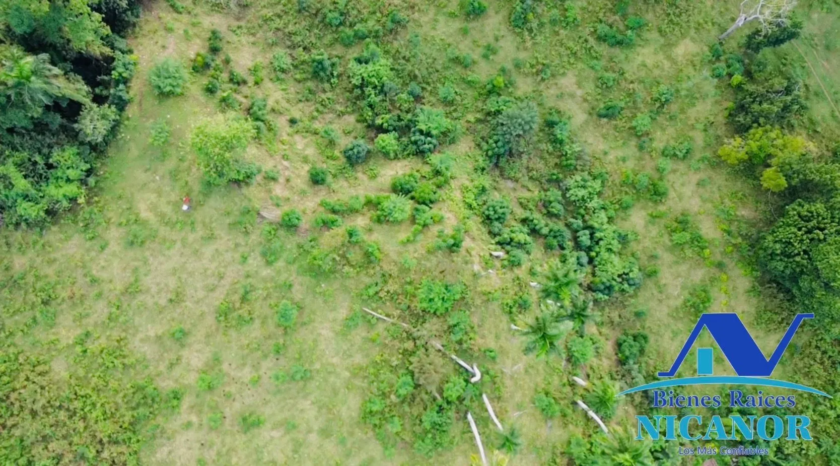 Finca ganadera de 1,150 tareas en venta en Guananico - 10