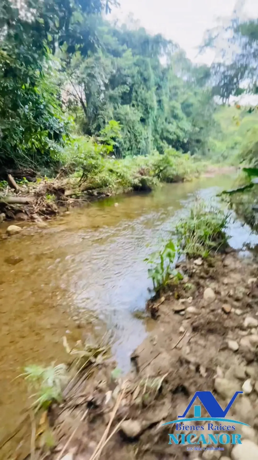 Finca ganadera de 1,150 tareas en venta en Guananico - 17