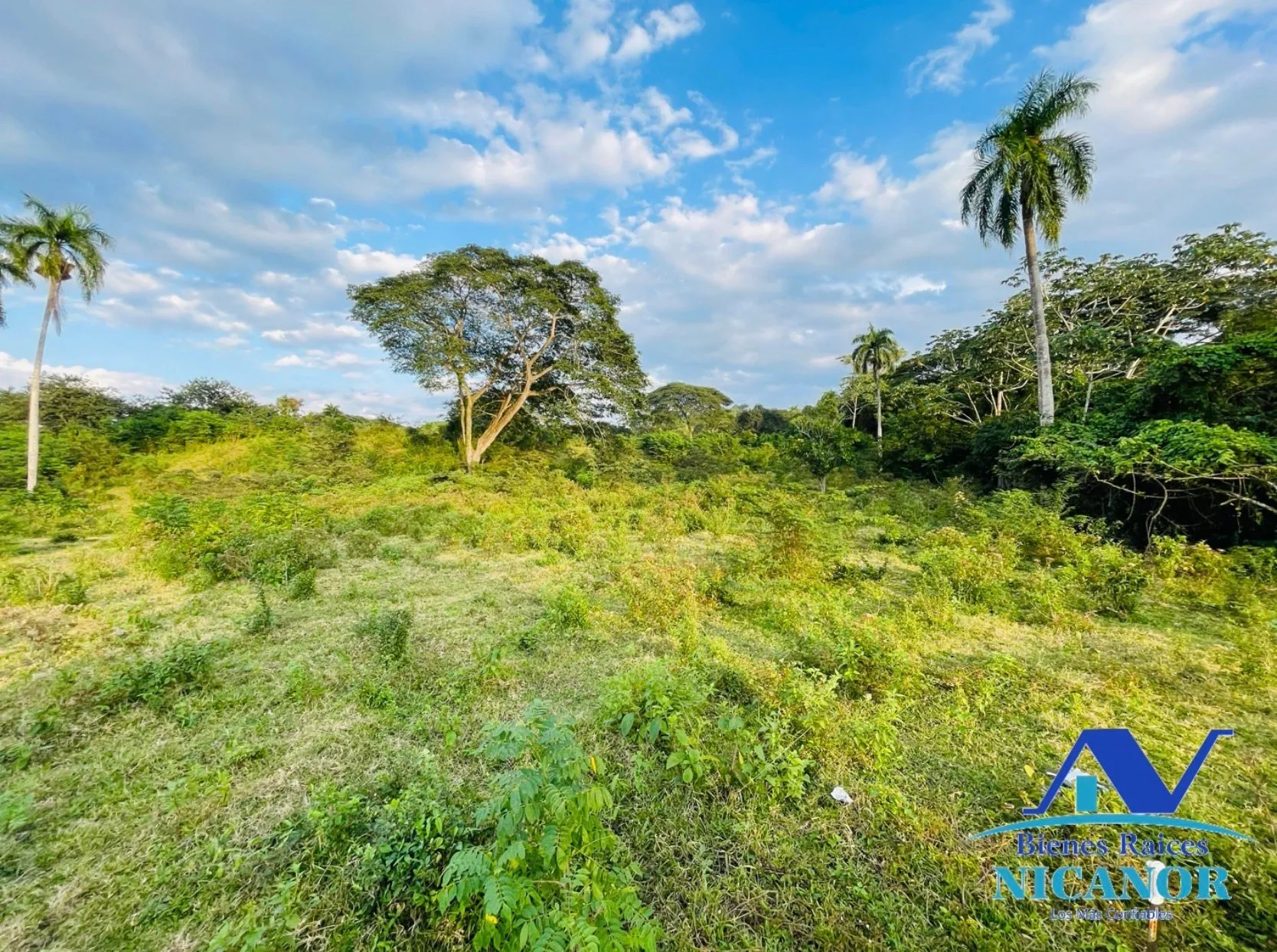 Finca ganadera de 1,150 tareas en venta en Guananico - 11