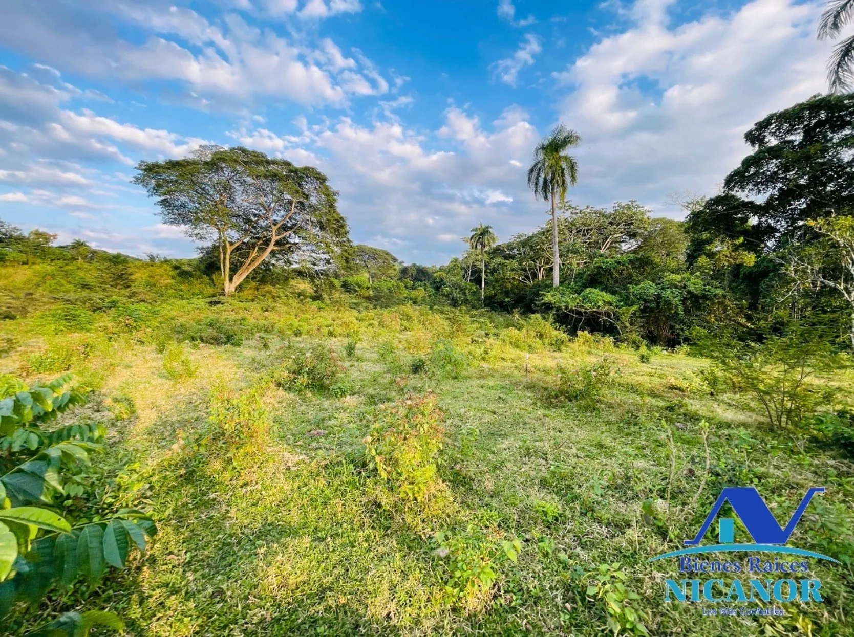 Finca ganadera de 1,150 tareas en venta en Guananico - 9