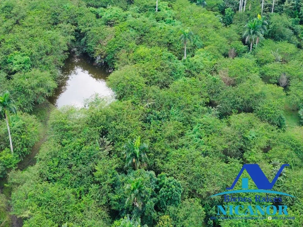 Finca ganadera de 5,200 tareas en venta - 17