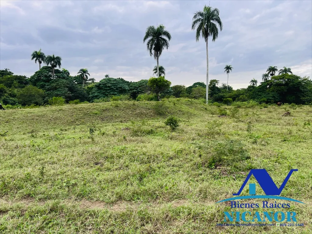 Finca ganadera de 5,200 tareas en venta - 10